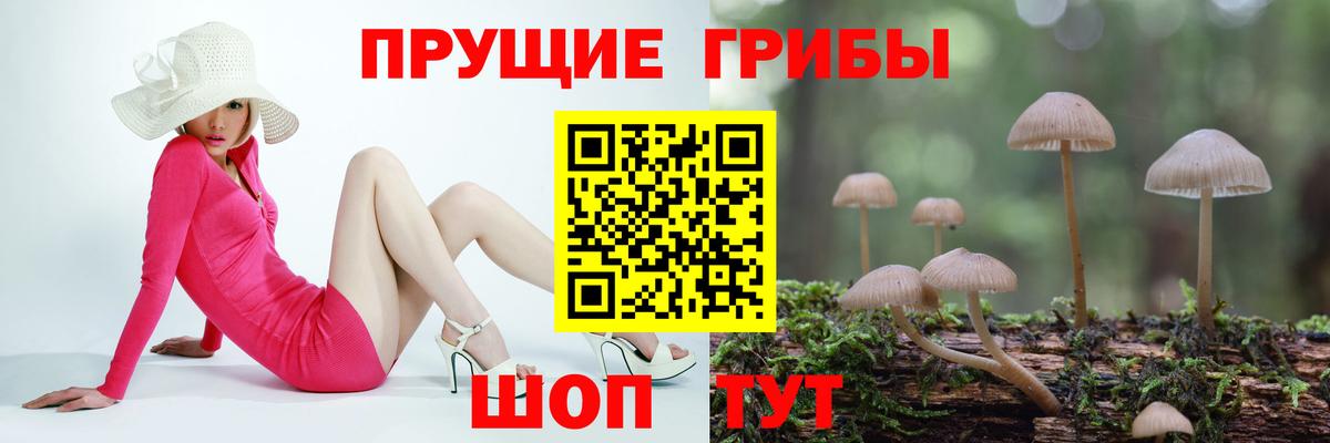 Шатура  Псилоцибиновые грибы прущие грибы  Вход с VPN 